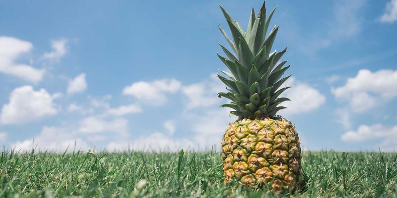 IT资源与网络技术教程：5G核心网与固网融合（FMC）如何重塑无缝连接体验