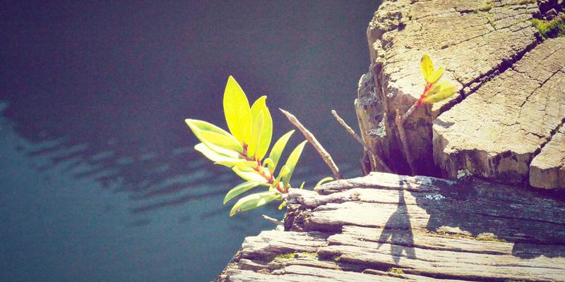 M-FETI与网络技术融合：构建企业远程办公与混合云环境的零信任架构实施路径