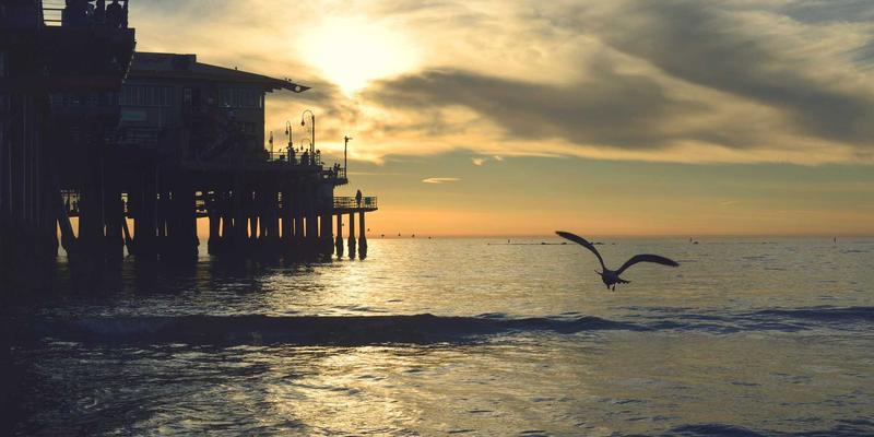 M-FETI技术解析：高效共享IT资源的前沿网络技术