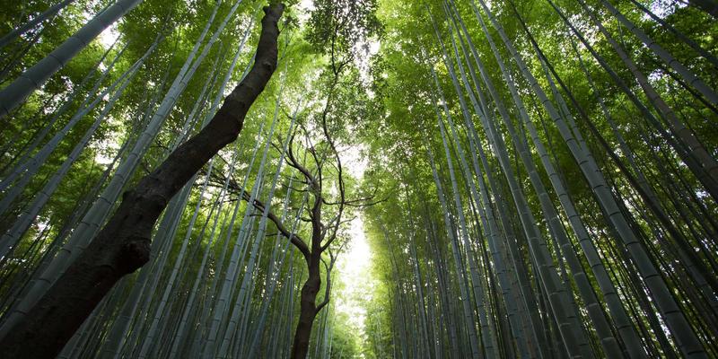 Maximizing IT Resources with Modern Network Technology: A Comprehensive Tech Tutorial Guide