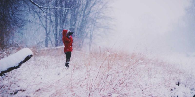 Network Technology 19: How M-FETI is Reshaping Modern Networking