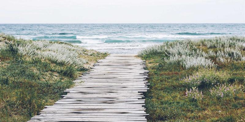 技术深度解析：时间敏感网络（TSN）如何重塑工业自动化与车联网的实时通信标准