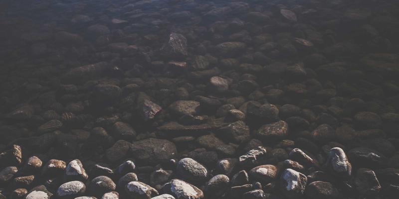 数据中心网络架构演进：从Clos到可编程交换芯片（如Tofino）的深度解析