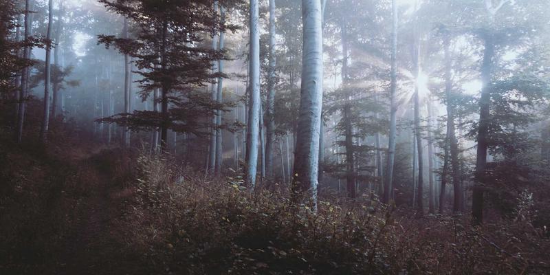 网络切片技术：解锁5G专网潜力的关键IT资源与共享策略