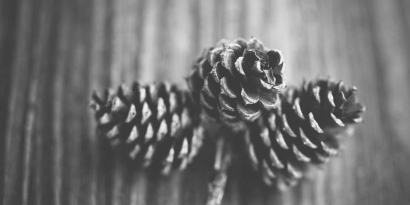 网络技术入门与精进:从基础概念到实战应用的完整指南