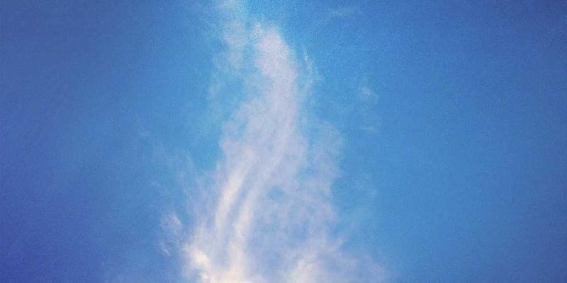 网络技术新前沿：从基础教程到M-FETI架构的深度解析