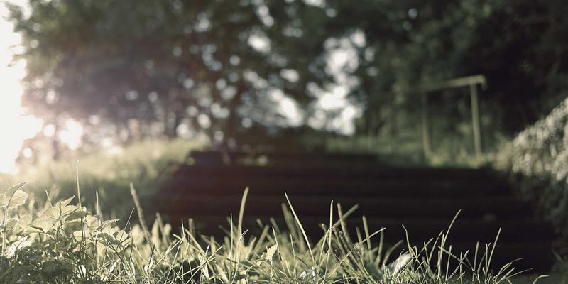 网络自动化与编排实战：基于Ansible、Terraform和Nornir的IT资源管理指南